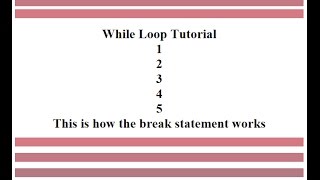 JavaScript While Loop Tutorial With break statement