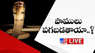 పాములు పగబడతాయా..? LIVE | Do Snakes Really Take Revenge? - TV9