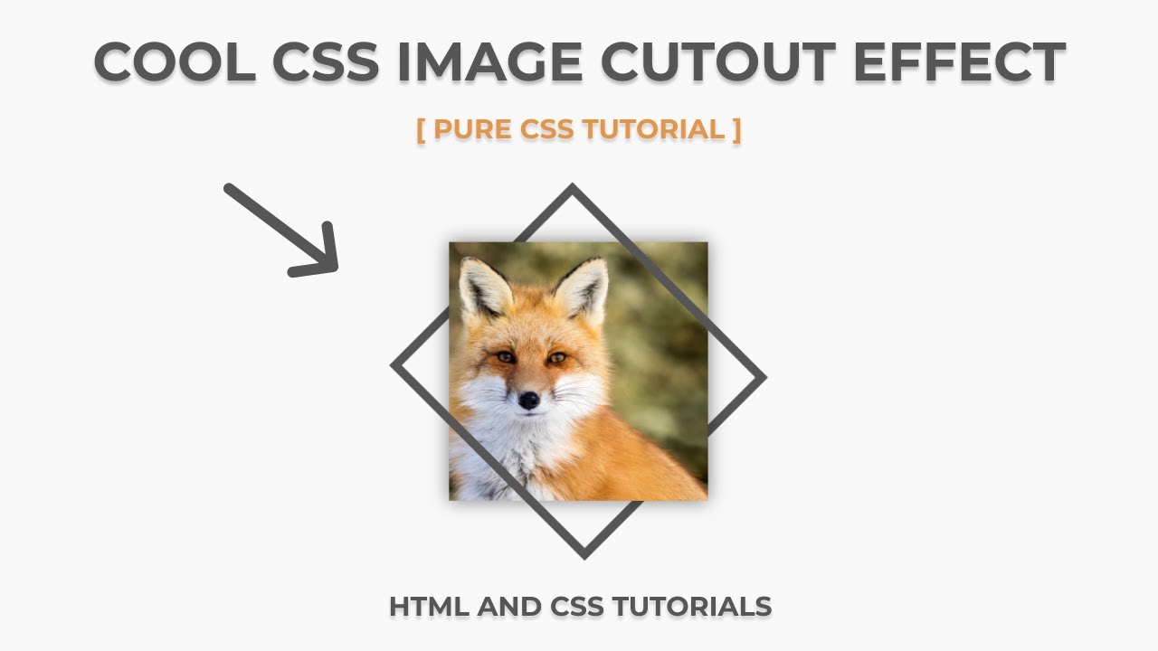 CSS Image Cutout Effect | Cool CSS Tutorials | Advanced HTML And CSS ...