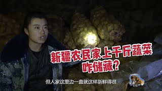 新疆农民上千斤蔬菜咋储藏？土豆摞得比人都还高，一个冬天都不坏