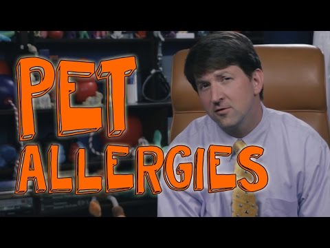 5 Simple Tips for People With Pet Allergies 5 Simple Tips for People With Pet Allergies