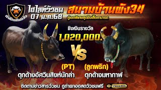 ดุกด้างอัศวินสิงห์นักล่า (PT) พบ ดุกด้างมหากาฬ (อ้ายลูกพริก) 7 ม.ค.68 สนามบ้านผัง34