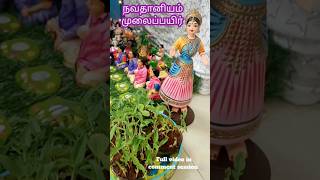 Navadhaniyam Sprouts for Golu/Navratri: Easy to Grow at Home#shortsfeed #shorts