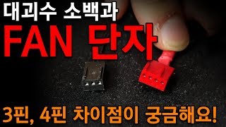 3핀/4핀 FAN 차이점이 뭔가요? (대괴수 소백과 #2)