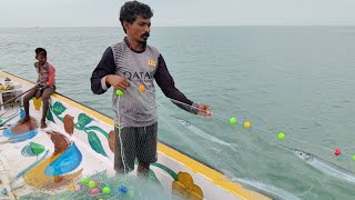 வீட்டு குழம்புக்கு வித்தியாசமான முறையில் மீன் பிடித்தோம் | Needle fish catching at sea