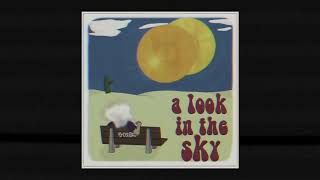 5-01ST - a look in the sky