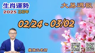 2025年 每週生肖運勢【 大易週報】➔ 陽曆 02/24~ 03/02｜戊寅月｜大易命理頻道｜賴靖元 老師｜片尾運勢排行榜｜CC 字幕