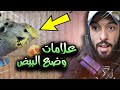 جولة في غرفة العصافير 🙄 سلسلة مشاكل الإنتاج #2 😌