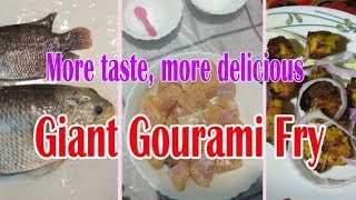 Giant gourami | More taste, more delicious