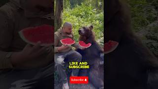 This bear was rescued by a kind man #rescue #bear