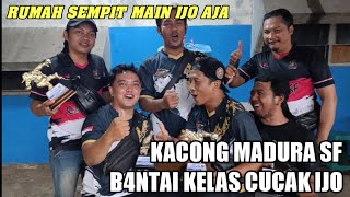 PENGUSAHA WARUNG KELONTONG MADURA KUASAI LOMBA BURUNG DI JAKARTA‼️ RAFA KACONG SF BORONG JUARA PKM