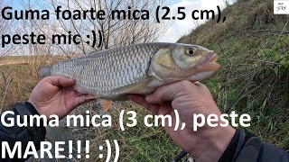 🎣 Guma foarte mica, peste mic! Guma mica... peste mare! 😄 Vizionare plăcută!   🎣