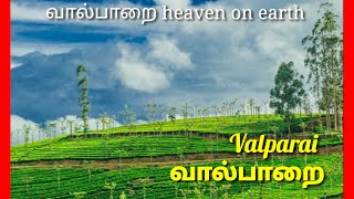 Valparai tourism/வால்பாறை சுற்றுலா #Valparaitouristplaces