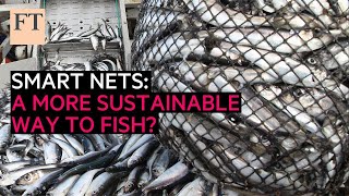 Trawling for a sustainable future with smarter nets | FT Food Revolution