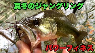 [バス釣り]真冬のジャングリング[パワーフィネス]