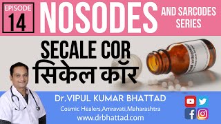 होम्योपैथिक नोसोड: सिकेल कोर के बारे में सम्पूर्ण जानकारी | Homeopathic Nosode: Secale Cor Explained