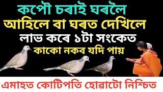 ঘৰলৈ কপৌ চৰাই আহিলে বা ঘৰত দেখিলে ১টা সংকেত দি যায় ?এটা কাম কেতিয়াও নকৰিব । Kapou When You Come Home