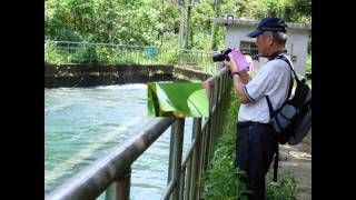 20150802白冷圳