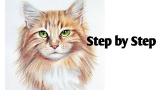 Easy Cat Drawing / Pencil Drawing Tutorial for Beginners ✏️✏️🐱🐱