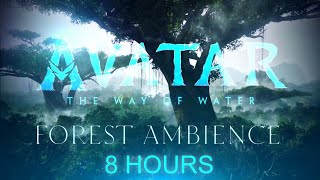 Avatar: The Way of Water | Forest | Ambient Soundscape | 8 Hours