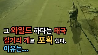 재갈량이냐?  삼고초려..   #태국 #파타야