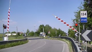 Spoorwegovergang Brescello (I) // Railroad crossing // Passaggio a livello