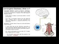 cervicogenic dizziness what is it mechanism u0026 diagnosis