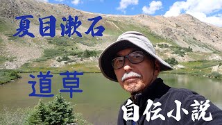 夏目漱石の「道草」を読んだ感想