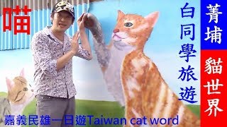 白同學菁埔貓世界【民雄菁埔貓咪彩繪村】白同學旅遊 cat world Tourist attractions to share白同學DIY教室