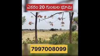 ఎకరం 20 గుంటల భూమి అమ్మబడును |$34 లక్షలు ఎకరానికి #landsforsale #realestate #btroad #lowbudget