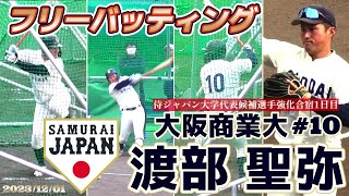 【≪2024埼玉西武ライオンズドラフト2位/フリーバッティング≫強打の外野手！/2023侍ジャパン大学代表候補選手強化合宿】2023/12/01大阪商業大3年生・渡部 聖弥(広陵高)