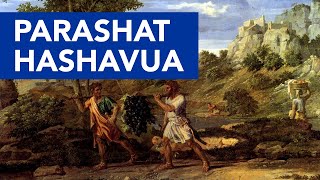 Parashat Shelach Lechá - envia por ti - CAMINHOS DA TORAH