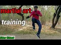 martial art training/fitter fittest