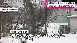 玄関にクマ‼ 防犯カメラに冬眠しない姿