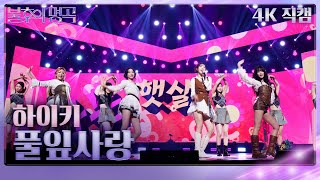 하이키(H1-KEY) - 풀잎사랑(가로) [불후의 명곡2 전설을 노래하다/Immortal Songs 2] | KBS 241207 방송