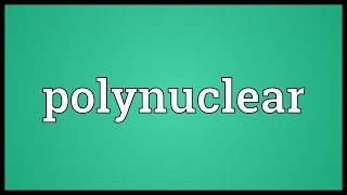 Polynuclear Meaning