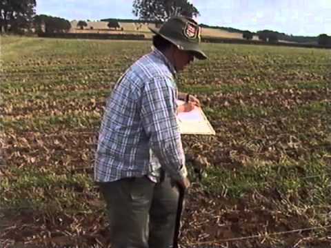 Archaeology At Work Youtube