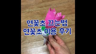 연꽃초 끄는법 / 연꽃초 후기