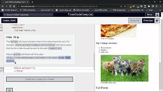 Learn HTML By building a cat photo app : Step - 36