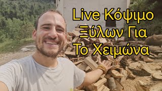 Live Κόψιμο Ξύλων Για Το Χειμώνα #greece