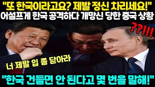 [해외반응] "또 한국이라고요? 제발 정신 차리세요!" 어설프게 한국 공격하다 개망신 당한 중국 상황 "한국 건들면 안 된다고 몇 번을 말해!"
