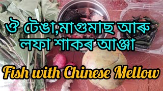 ও টেঙা,লফা শাক আৰু মাগুৰ মাছৰ জোল। Fish with Chinese Mellow #assameserecipe #cookingvlog