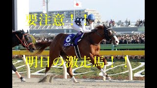 【要注意】２０２０　フェブラリーステークス　Ｇ１　激走馬　必見