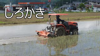 【米作り】クボタのトラクターでしろかき　kubota KL2450 2022.5月下旬