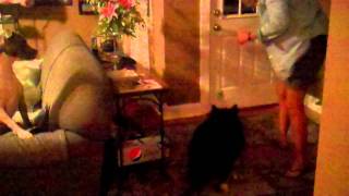 VID00072.MP4