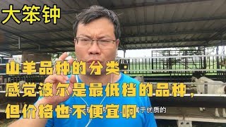 山羊品种的分类：感觉波尔是最低档的品种，但价格也不便宜啊