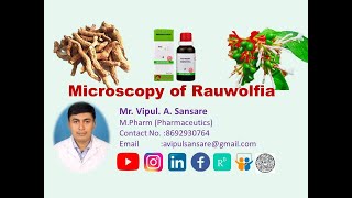 Microscopy of 'Rauwolfia root': Pharmacognosy: GPAT preparation