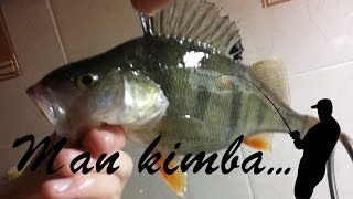 Man kimba- Ešeriai nuo pirmo ledo