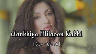 Akhiyaan Milaoon Kabhi | Lofi song | Madhuri | Sanjay Kapoor | Udit N | Alka Y | Slowed and Reverb 🎧
