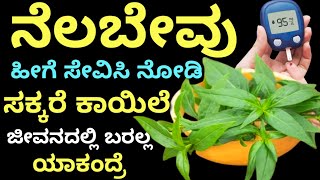 ನೆಲ ಬೇವು ಹೀಗೆ ಸೇವಿಸಿ ನೋಡಿ ಸಕ್ಕರೆ ಕಾಯಿಲೆ ಜೀವನದಲ್ಲಿ ನಿಮ್ಮ ಬಳಿ ಬರಲ್ಲ | kannada health tips